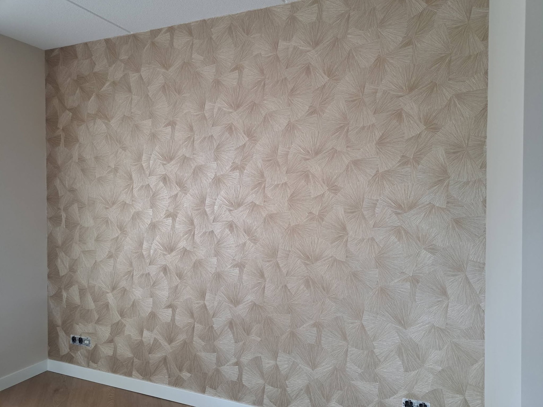 Renovlies